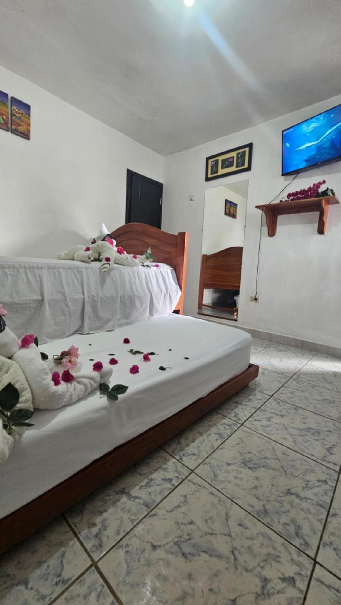 San CristóbalFlor'S House公寓 外观 照片